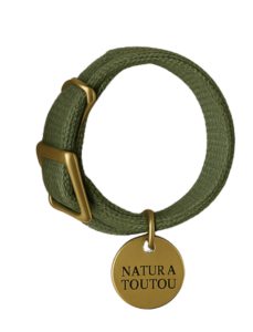 Collier pour chien